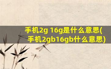 手机2g 16g是什么意思(手机2gb16gb什么意思)